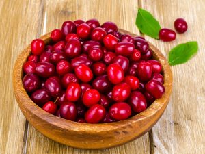 مغز 4