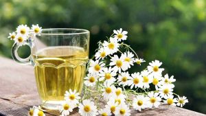 بابونه در کاهش اضطراب موثر است