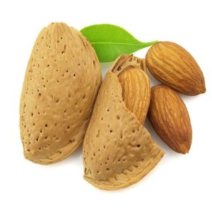 بادام سرشار از ویتامین E است