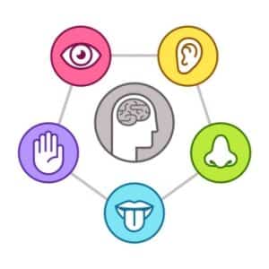 اختلال پردازش حسی 