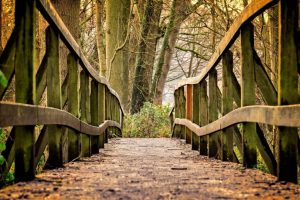 دکتر مجتبی کریمی روانپزشک 2